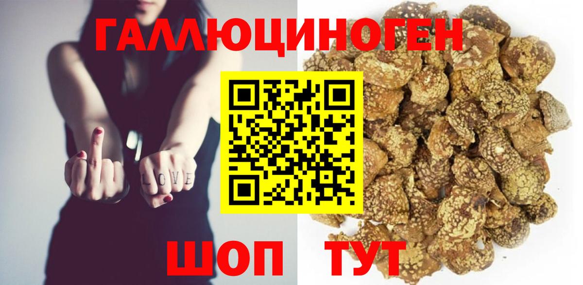 Галлюциногенные грибы прущие грибы Кызыл
