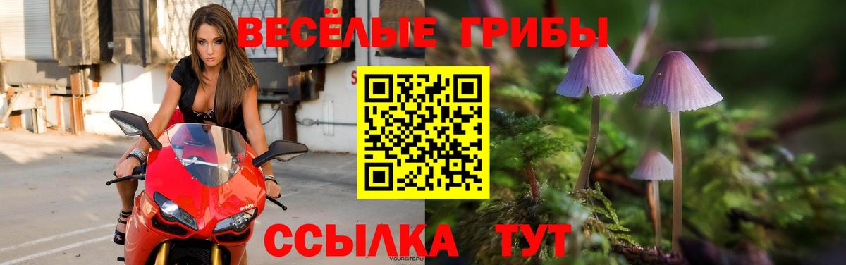 Псилоцибиновые грибы Psilocybine cubensis  Вход с VPN  Кызыл 
